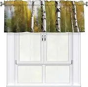 LHBWCVN Birch Trees Valances for Windows, Rod Pocket Window Treatment Drapes Farmhouse Kitchen Curtains Short Blackout Window Curtains for Living Room Bedroom Decor 54x18 Inch