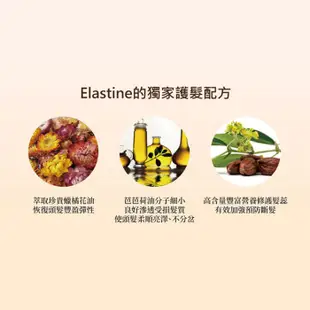 韓國Elastine 香水洗髮精/潤髮乳 600ml【新高橋藥局】多款供選