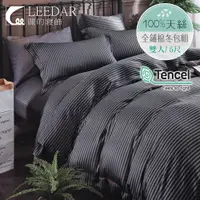 在飛比找蝦皮購物優惠-【LEEDAR 麗的】西舍  100%天絲全舖棉冬包組 舖棉