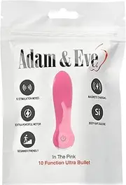 In The Pink Powerful Bullet Vibrator