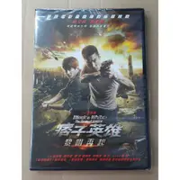 在飛比找蝦皮購物優惠-痞子英雄2 黎明再起DVD 單碟版、雙碟版 趙又廷、林更新、