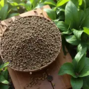 8kg Seabird Guano Flowering / Fruiting + Trace Elements PLATINUM ORGANICS