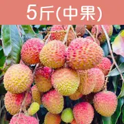 郭家大樹玉荷包(5斤)(中果)