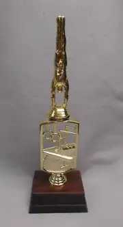 Gymnastics male trophy award gold riser theme weighted base