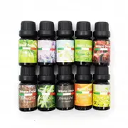 10 Pack Aroma Diffuser Oils Aromatherapy Fragrance 10Ml Gift Diffusers
