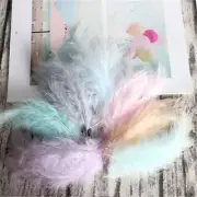 Party Decoration Turkey Feathers Plumes Wedding Ornament Feather Diy Craft 50pcs