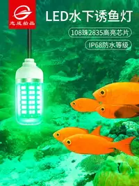 在飛比找樂天市場購物網優惠-志成垂釣誘魚燈房車游艇用漁船用釣魚捕魚燈12V水下藍光LED