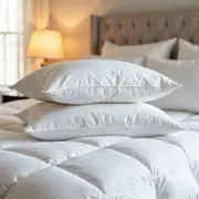 Duck Feather & Down Quilt 500GSM + Pillows Twin Pack King White