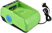 60V LITHIUM-ION Rechargeable Battery Charger Fast Charging