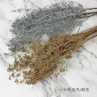 在飛比找松果購物優惠-進口永生小米果-乾燥花圈 乾燥花束 不凋花 拍照道具 室內擺