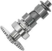 TRX420 38T Camshaft 14100-HR3-A60 2014-2023 Compatible With Rancher 420 TRX420FA 2014-2023 OHV Motorcycle Auto Parts