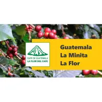 在飛比找蝦皮購物優惠-生豆︱瓜地馬拉 安提瓜 花神 咖啡生豆 COFFEE BEA