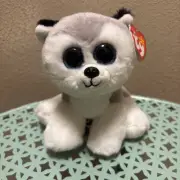 TY BUFF the HUSKY DOG BEANIE BABY - MINT with MINT TAGS