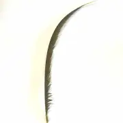 Golden Pheasant Centre Tail Feather x 10 pcs - Yellow ((BULK PACK))