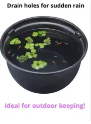 Gex Medaka bowl pot Storm drainage 12.6in Resin Black 17.5oz2gal Japan killifish
