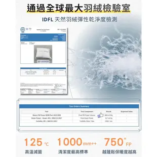 【 iDOWN 】 JIS日規 98/2 超保暖波蘭羽絨被 ▏頂極專櫃級羽絨被 ( 雙人180 x 210 cm )