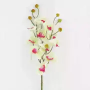 Artificial Cream and Green Phalaenopsis Orchid Sprays