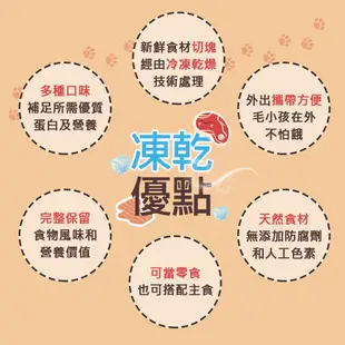 【毛孩王】8入貓凍乾 貓零食隨手包 海鮮餐(小花枝/小扇貝/干貝/小章魚)