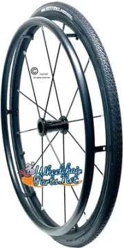 25" (559mm) Sentinel 12 Spoke Wheel With Pushrim & Tire Options