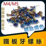 現貨 M4 M5 十字頭 鐵板牙螺絲 鐵板牙 鍍鈦鐵板牙 鍍鈦螺絲 車殼螺絲 白鐵螺絲 自攻牙 M5螺絲 M4螺絲