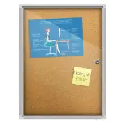 Thornton's Enclosed Cork Bulletin Board 18x24 Trading Card Display Case