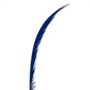 Lady Amherst Pheasant Centre Tail Feather - Royal Blue ((SECONDS))