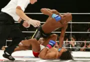 Anderson Silva knocks out Carlos Newton at Pride 25, Japan 2003 7x5 Photo