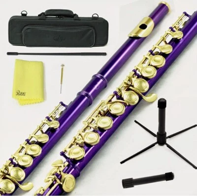 Sky Purple Gold C Close Hole Flute w Case, Stand, Cleaning Rod, Cloth and More