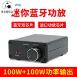 【公司貨 開發票】 奢菲雅甄選 | 110V 擴大機 熱銷家用迷你藍牙數字功率放大器TPA3116 100W 數字功放機