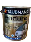 Taubmans Endure 4L Low Sheen Accent Kitchen and Bathroom