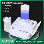 Dental Portable Ultrasonic Piezo Scaler + 2*Bottles fit Cavitron EMS Handpieces