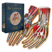 CL Dr. Livingstons Anatomy Jigsaw Puzzle: The Human Hands