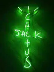 Green Cactus Jack LED Neon Sign with Dimmable Art Wall Light Decoration