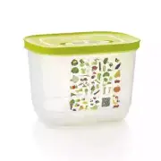 Fridge smart small deep Tupperware