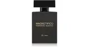 VALAVANI Magnetifico Pheromone Selection Pheromone Perfume for Men 100 ml