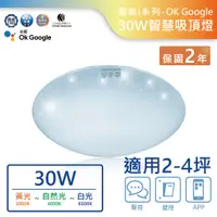 在飛比找蝦皮商城優惠-【舞光.LED】LED 30W/OK Google智慧聲控遙