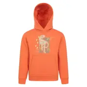 Mountain Warehouse Childrens/Kids Dinosaurs Organic Glow In The Dark Hoodie