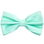 Pre-tied Adjustable Bow Tie for Men Formal Solid Tuxedo Bow Tie 158-light Mint
