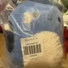 Squishmallows Sealife Jacken the Sea Slug 8 Inch Fuzzy Belly Soft Plush New