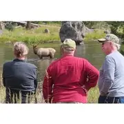 Save 10.00%! Upper Loop Tour and Lamar Valley from West Yellowstone with Lunch