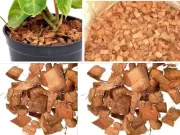 Coconut Husk dry chips 100% natural Organic Fiber Orchids Anthurium Growing