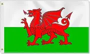 3×5 FT Welsh Flag, Large 75D Welsh National Outdoor Banner,Decor for Patio Garden with Brass Gromment