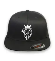 SAAB MOTOR CURVED or FLAT BILL FLEXFIT HAT *FREE SHIPPING in BOX*