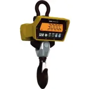 CAS CCB-5TLF, Wireless Crane Scale with Wireless Remote, 10000 lb x 2 lb