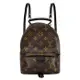 Louis Vuitton LV M44873 Palm Springs Mini 經典老花斜背後背包