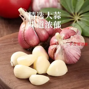 零食全球購 李錦記蒜蓉豆豉醬368g蒜香濃郁炒菜拌飯拌面蘸料調味