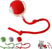 JIGCEN Interactive Dog Ball Toy, Smart Automatic Rolling Pet Ball 360° Rotating Rolling Ball with USB Charging