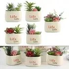 Artificial Succulents Allergy-Friendly Decor Chic Home Accessory Home Decoration