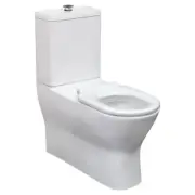 Delta Care Special Needs Back to Wall Toilet Suite P-Trap Raised Buttons K013WP