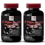 Strength Balance - TRIBULUS TERRESTRIS EXTRACT - Dynamic Energy 2 Bottle 180Tabs